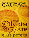 Cover image for The Pilgrim of Hate